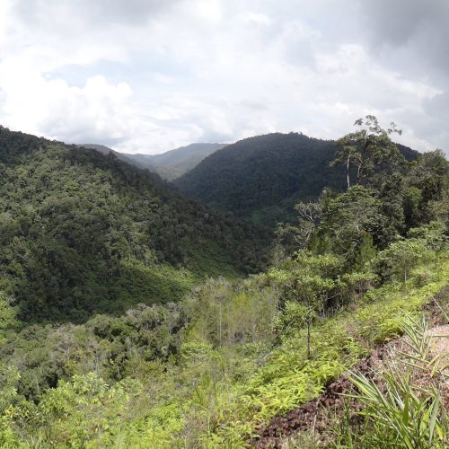 Beutong East Porphyry and Skarn-min