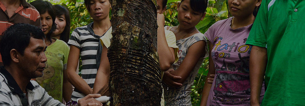 Rubber-Training-darker